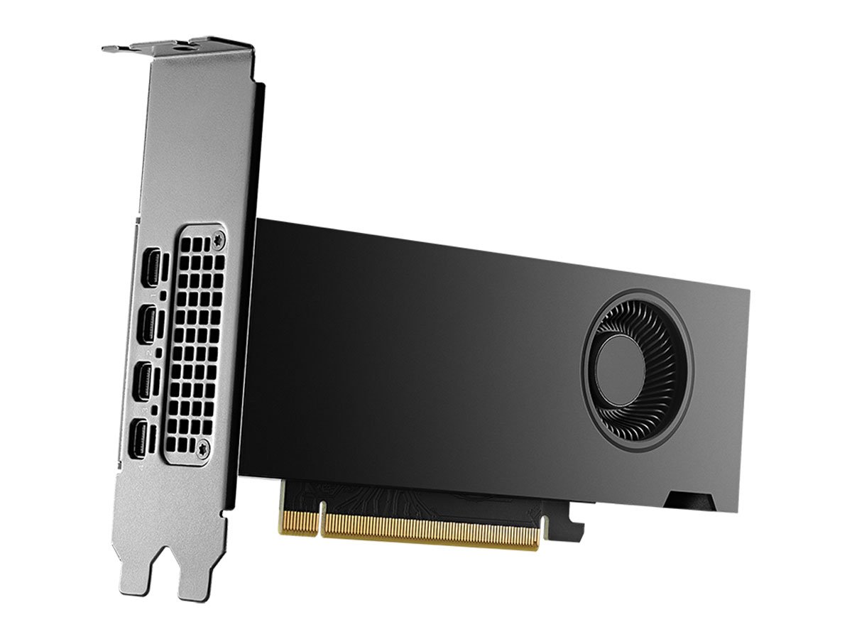 PNY RTX 2000 Ada Generation