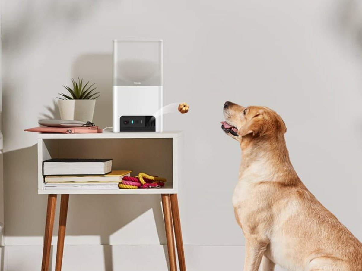 Inteligentna kamera Petcube z podajnikiem Bites 2 Lite