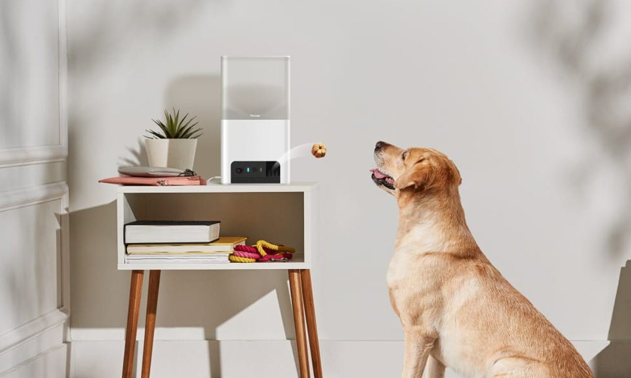 Inteligentna kamera Petcube z podajnikiem Bites 2 Lite