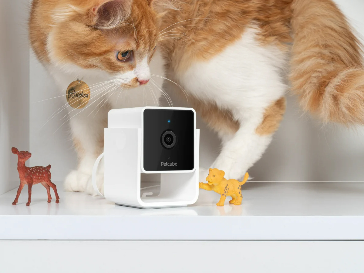 Inteligentna kamera Petcube Cam