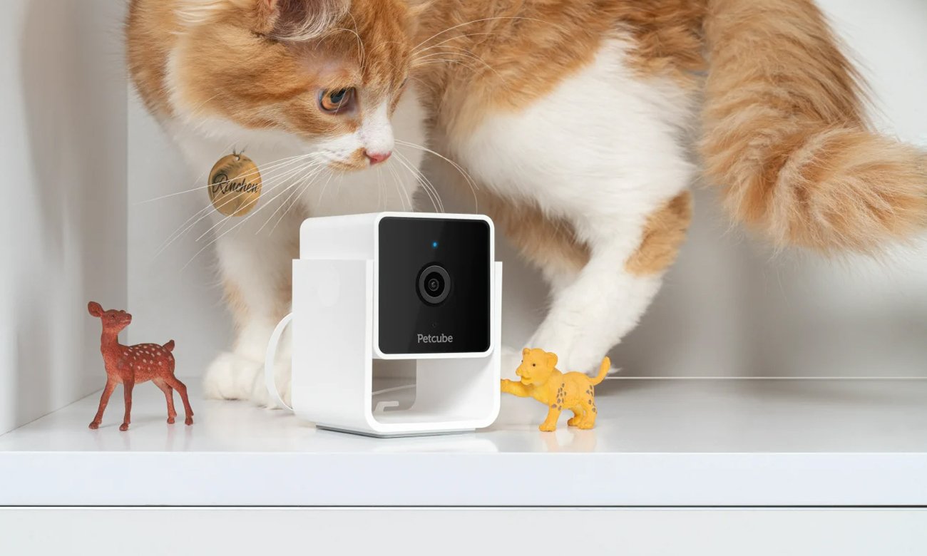 Inteligentna kamera Petcube Cam