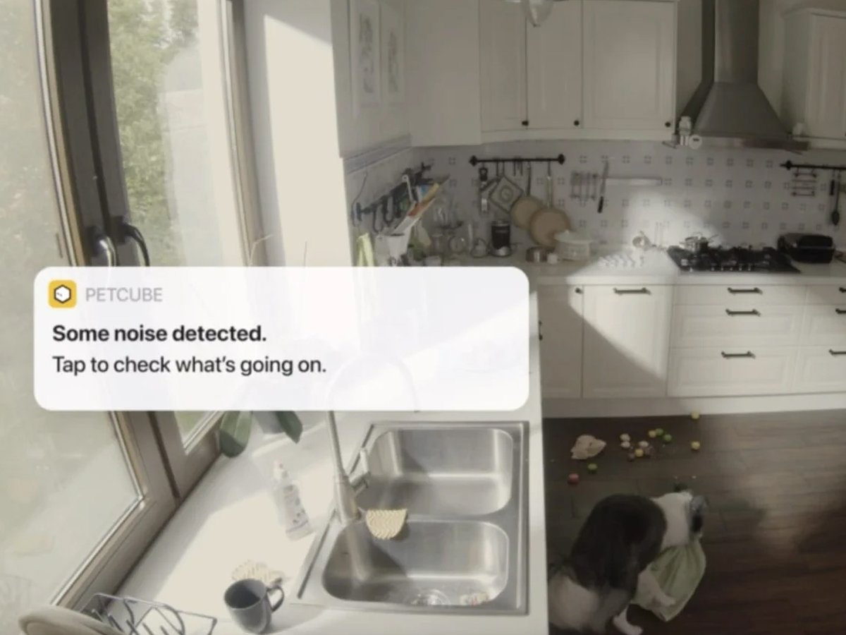 Petcube Interaktywna Inteligentna kamera Cam 360 powiadomienie
