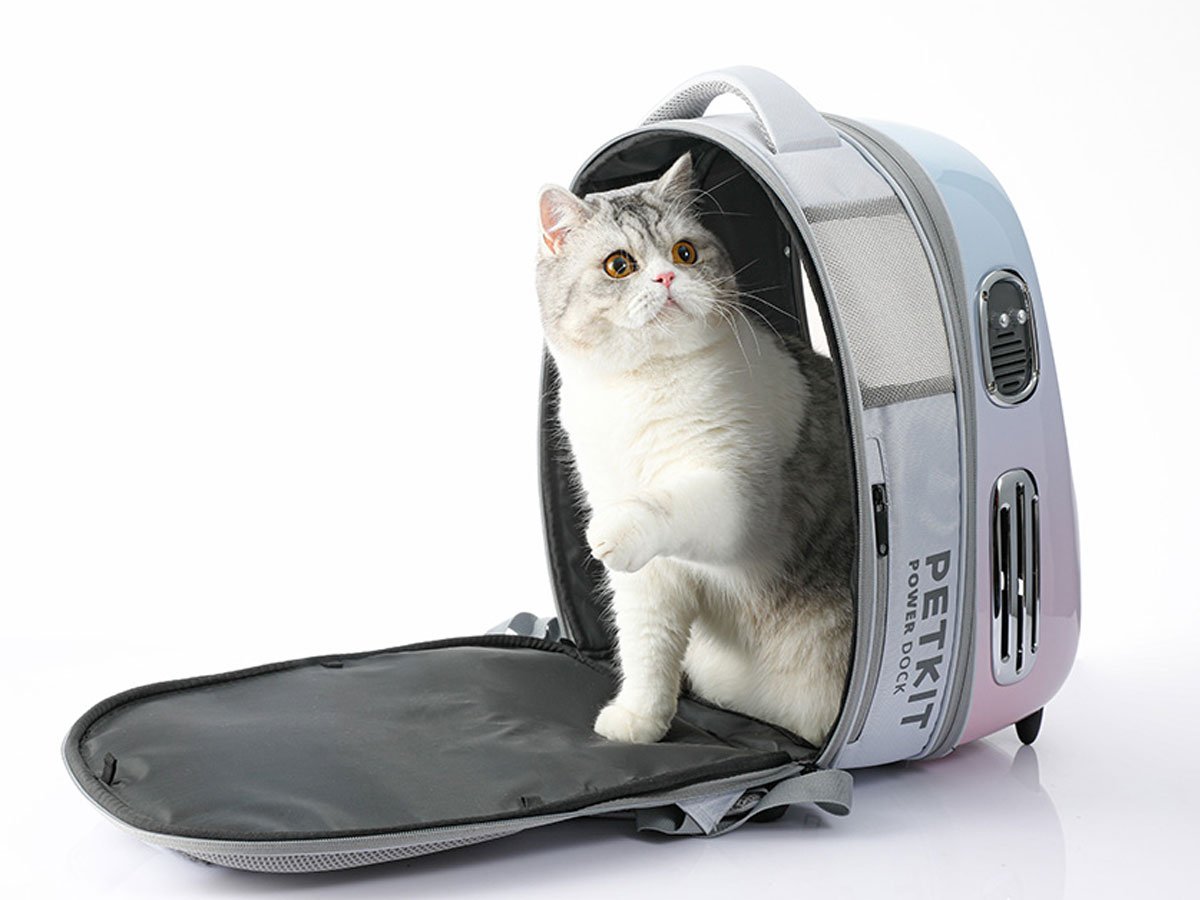 Petkit Plecak podróżny dla zwierząt Breezy 2.0 kotek