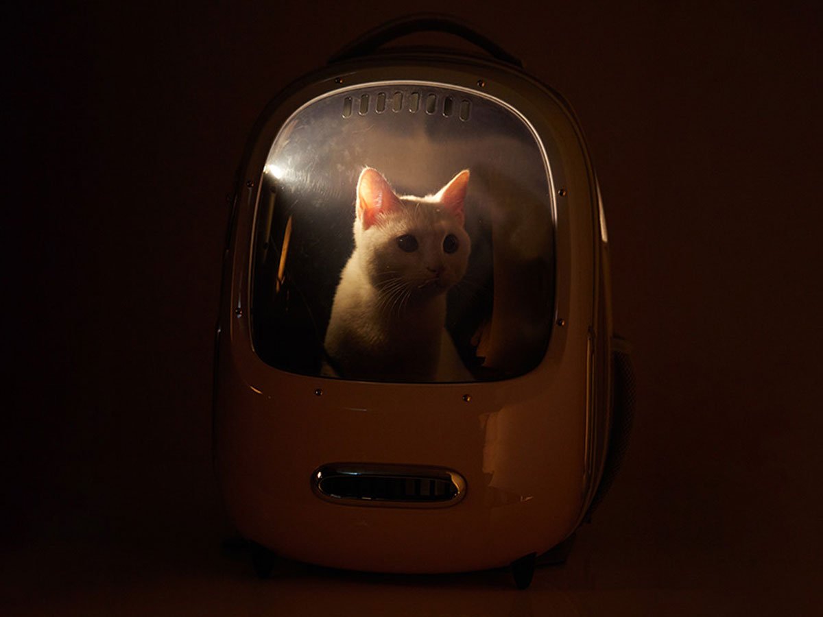 Petkit Plecak podróżny dla zwierząt Breezy 2.0 światełko