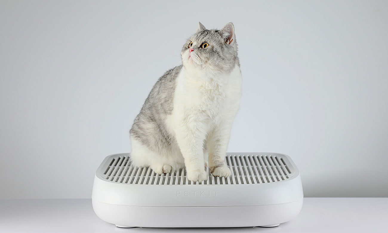 Petkit Schody do kuwet