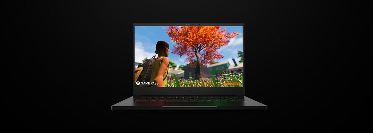 Razer Blade 14 ekran