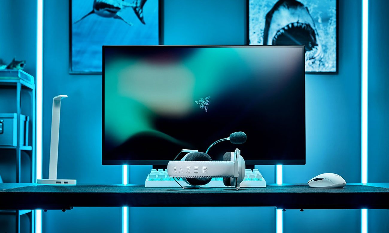 Mikrofon kardioidalny Razer HyperClear