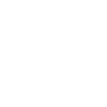 program intensywny