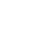 program szybki 