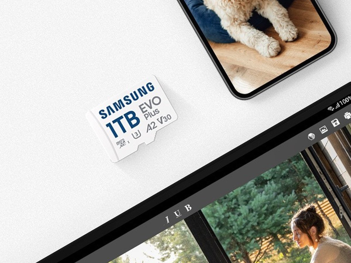 Speicherkarte Samsung microSD Card EVO Plus 1 TB (2024) - Lifestyle-Grafik