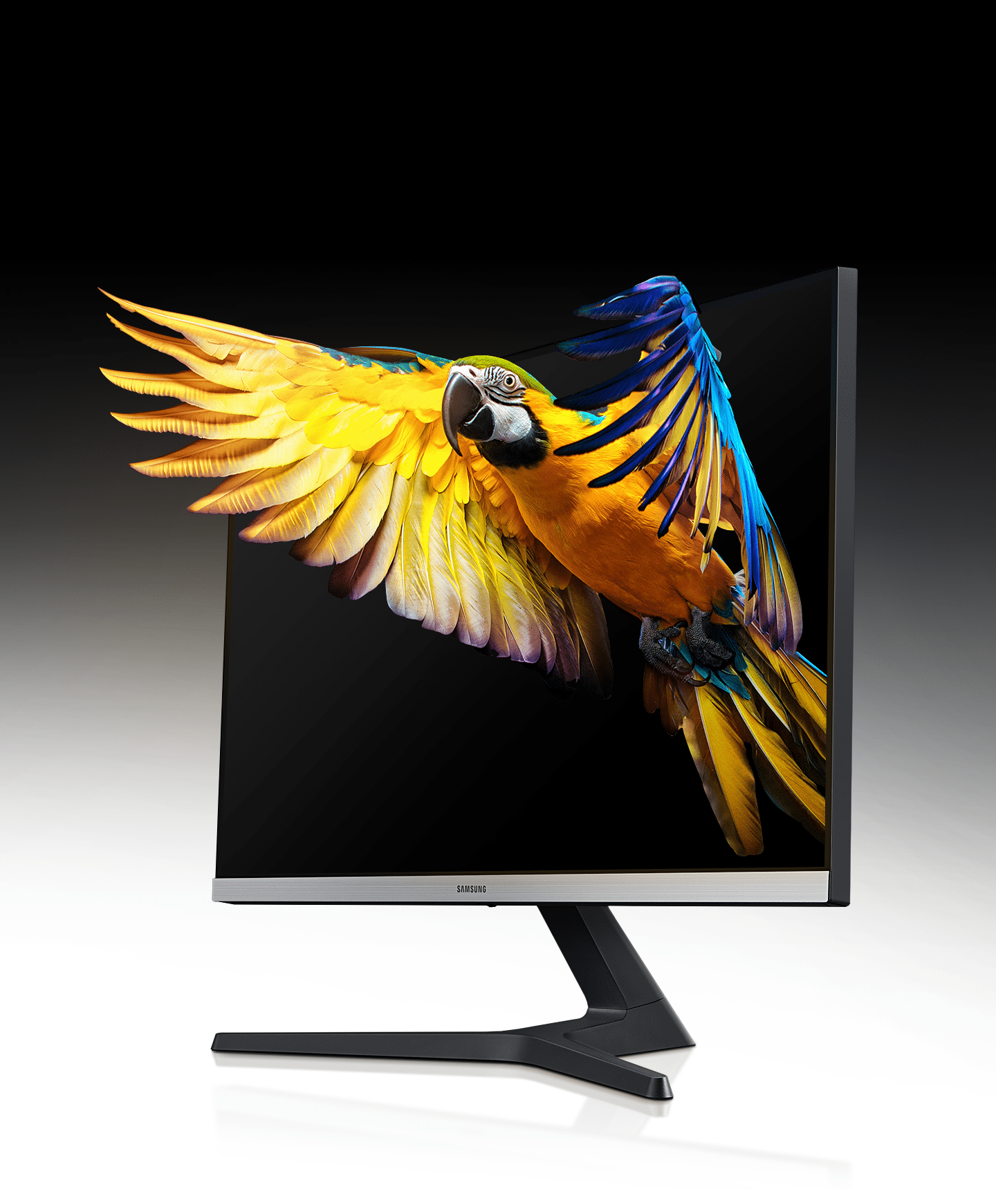 php4rp70i 01 uhd-resolution php4rp70i 01 uhd-resolution