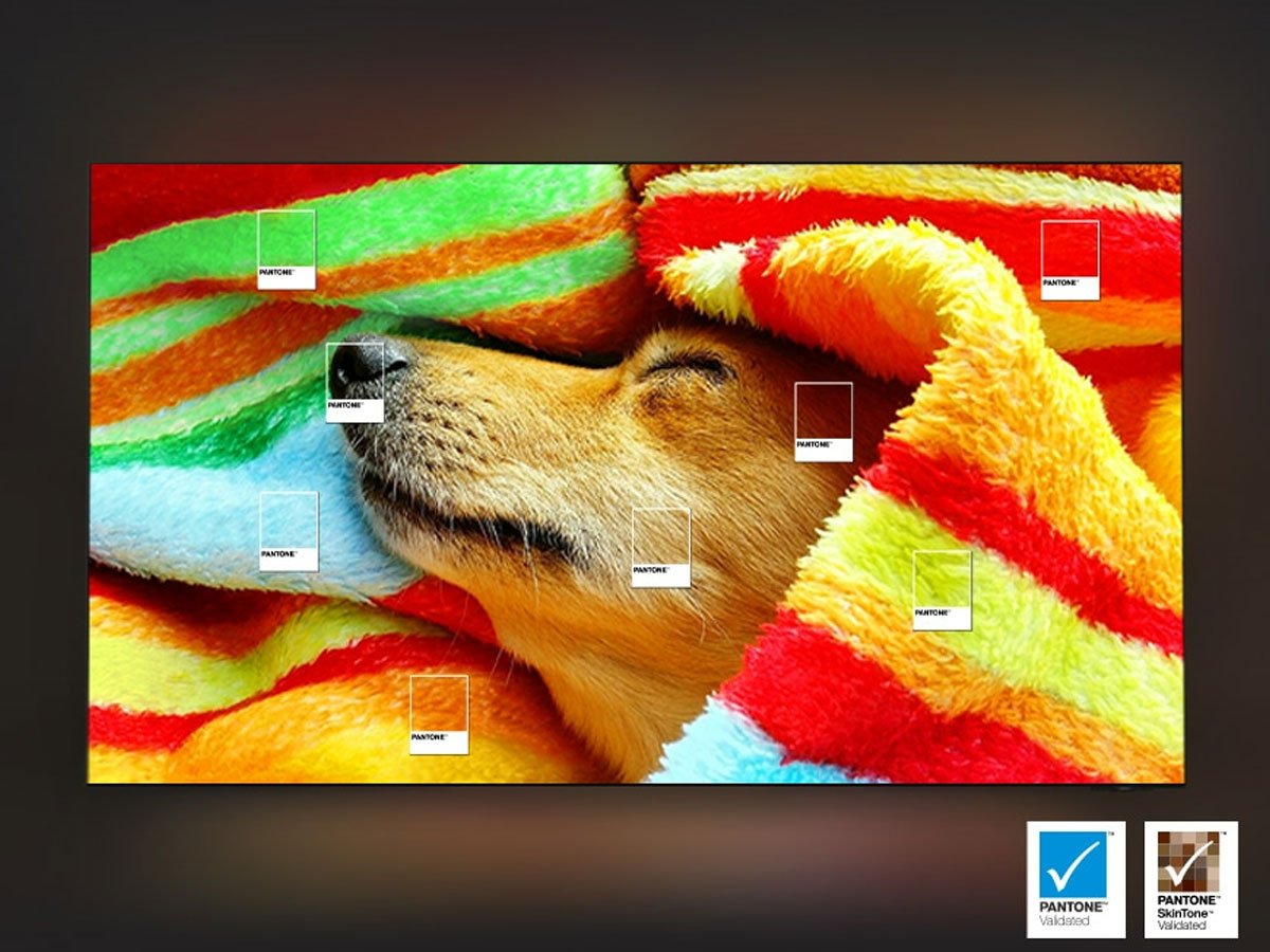 Samsung Q8FA pantone
