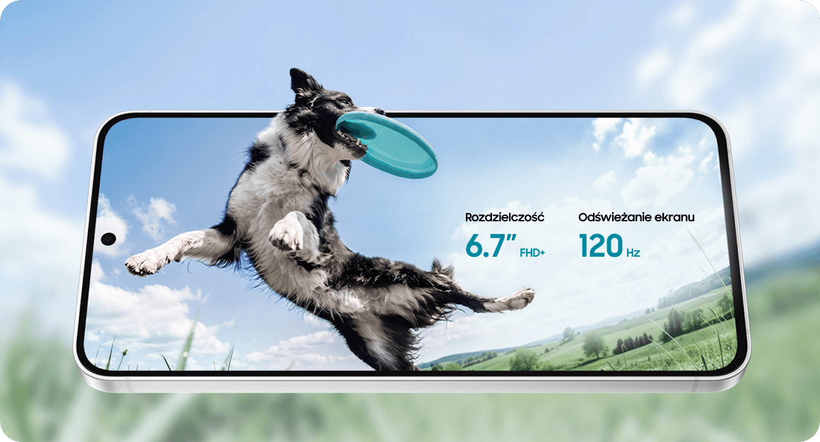 Smartfon Galaxy wyświetla psa łapiącego frisbee na pełnoekranowym, jasnym ekranie.