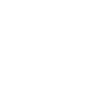 150x150 4-pantone icon white ikonka pantone validated