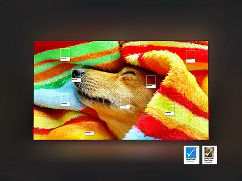 480x360-pantone validated mo pantone validated. Telewizor OLED S85F 4K dostępny w sklepach XKOM