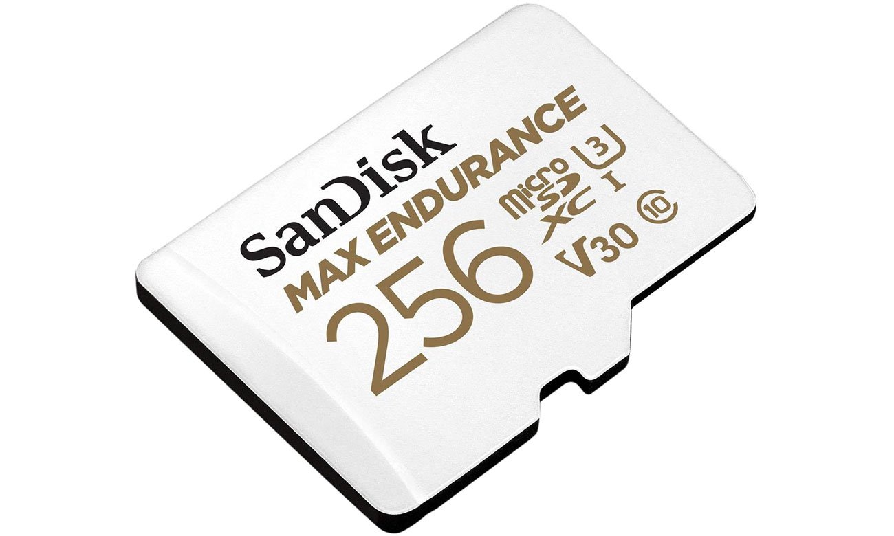 SanDisk Max Endurance 256 GB microSDXC UHS-I U3 V30