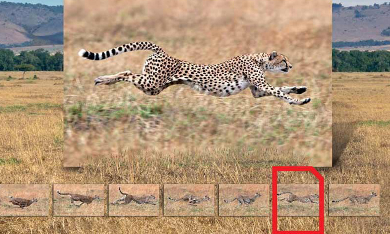 32GB SDHC Extreme Pro zapis 90MB/s odczyt 95MB/s