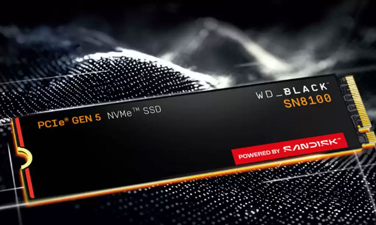 WD Black SN8100 2 TB M.2 PCIe Gen5 NVMe