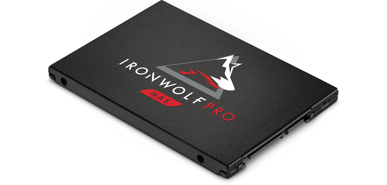 Dysk NAS Seagate IronWolf Pro 125 SATA SSD