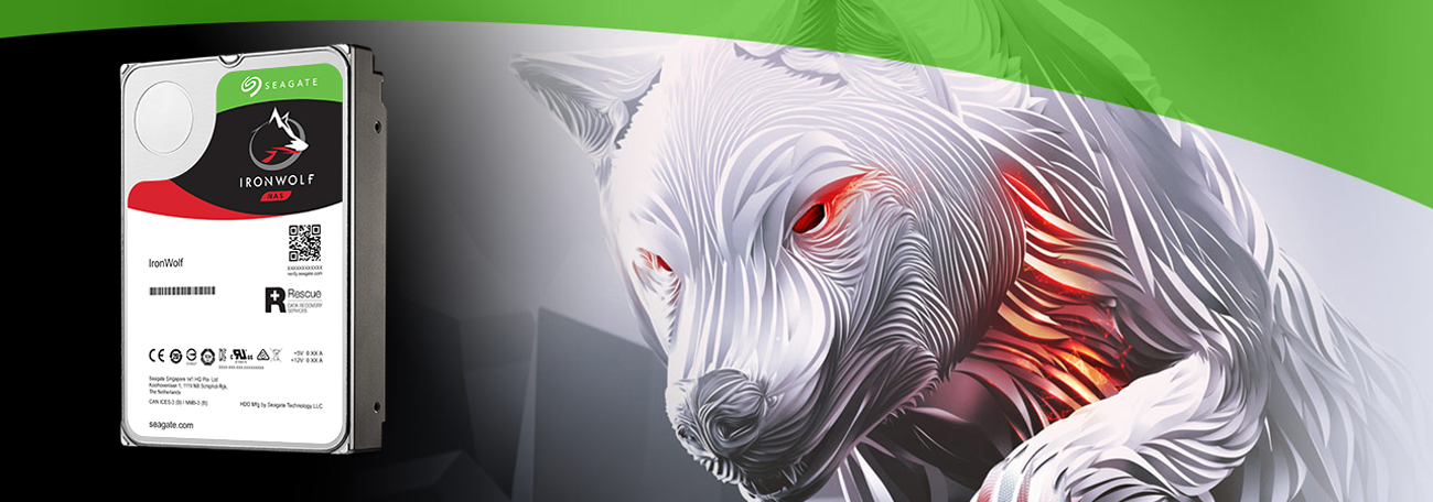 Dysk twardy Seagate IronWolf