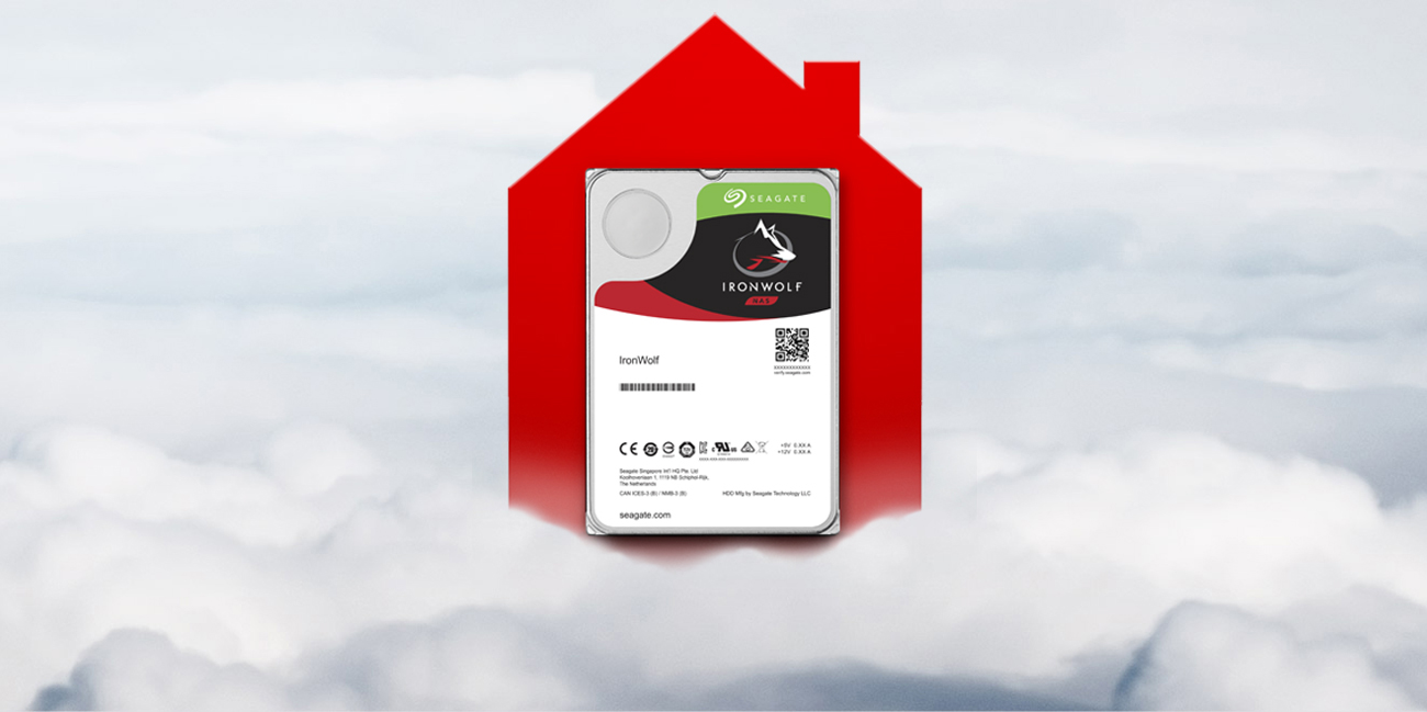 Dysk twardy Seagate prywatny serwer