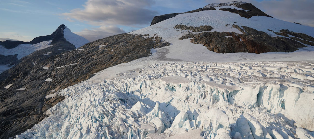 Sony Alpha a7R III Przetwornik obrazu Exmor R