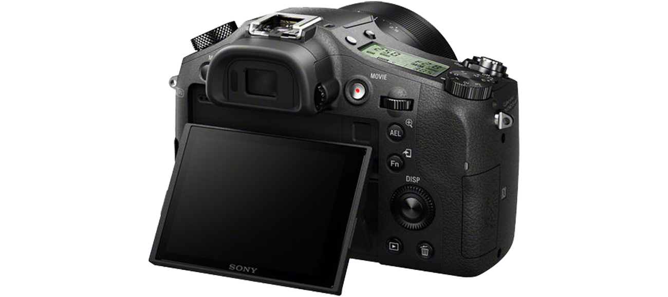 Sony DSC-RX10 Możliwości