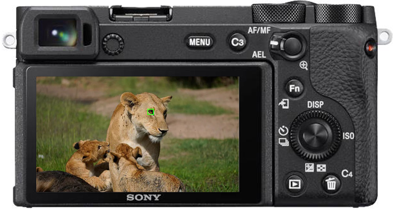Aparat profesjonalny Sony A6600 body