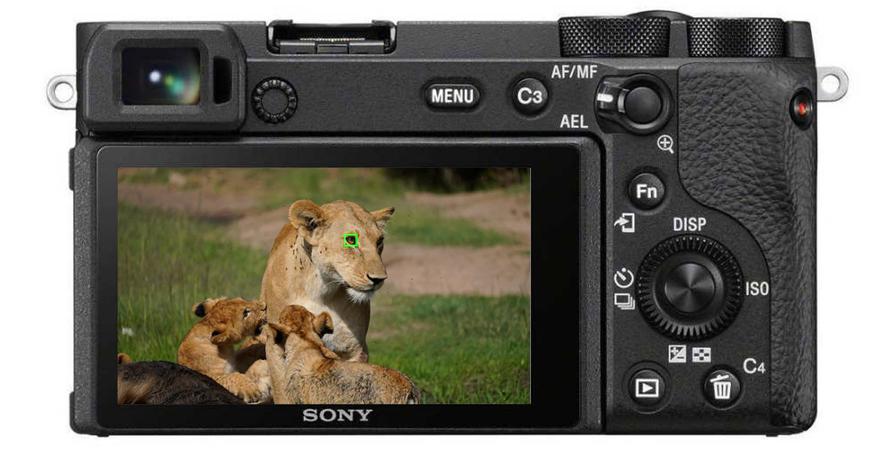 Sony A6600 +18-135 mm