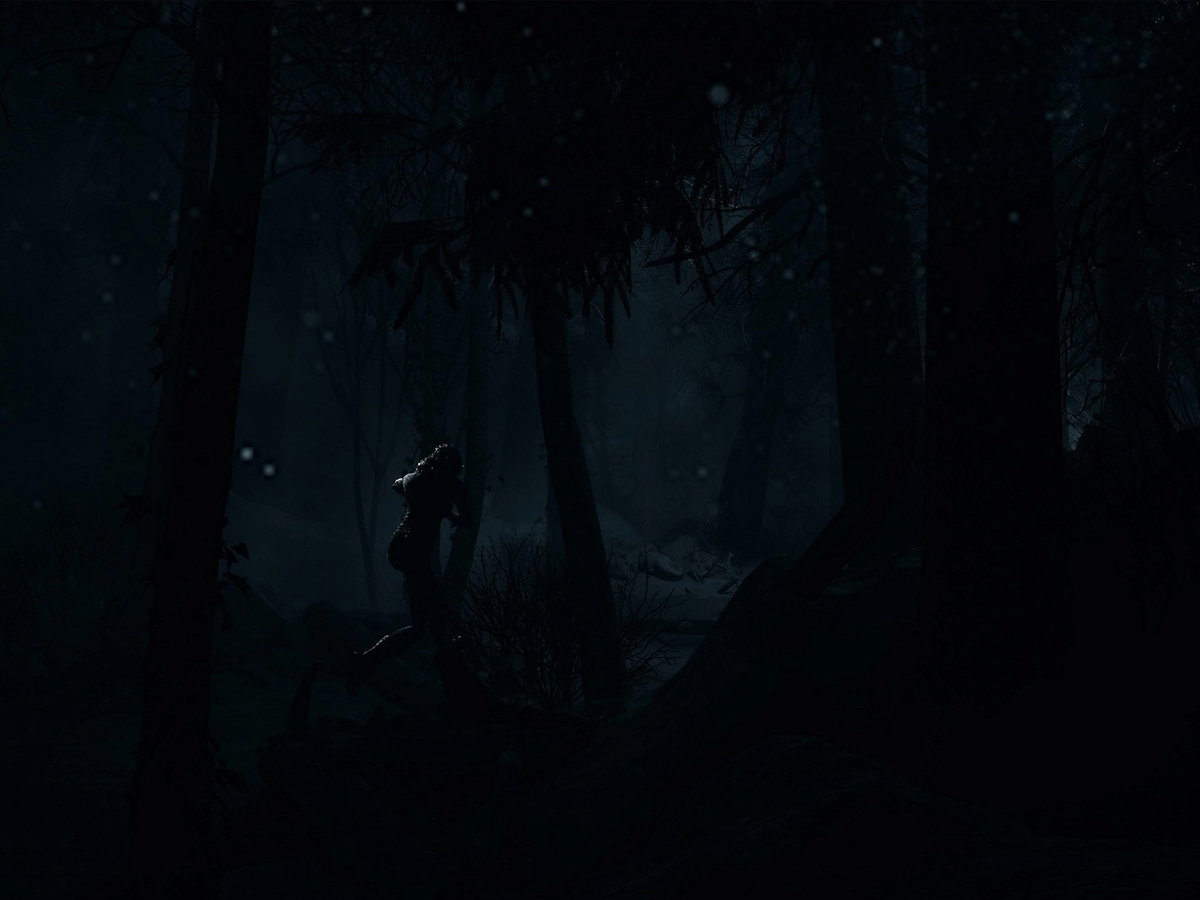 Zrzut ekranu screenshot z gry Until Dawn