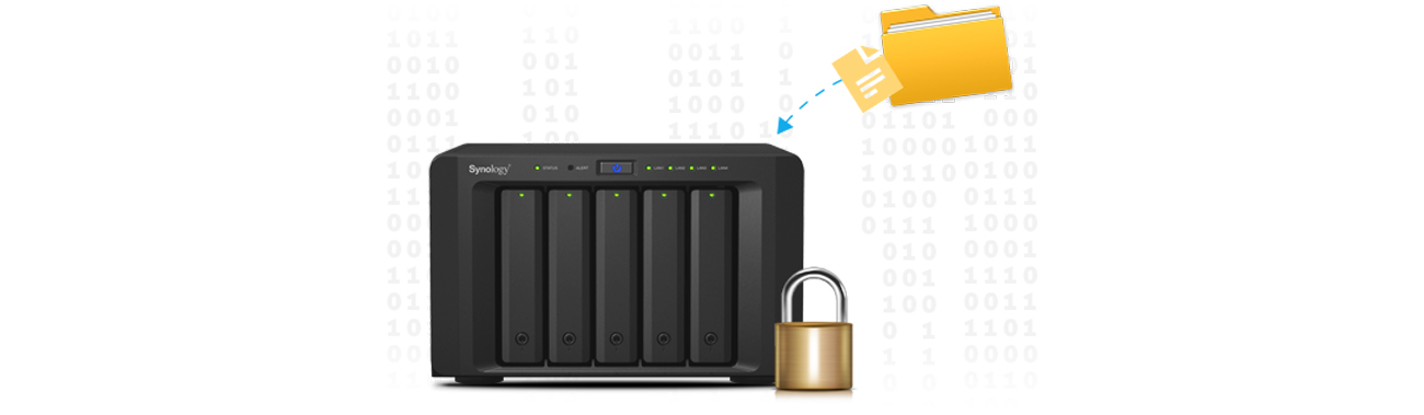 Synology DS1515 moduł szyfrujący