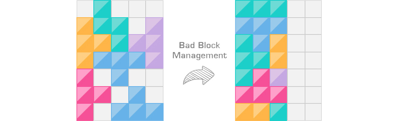 Bad Block Management