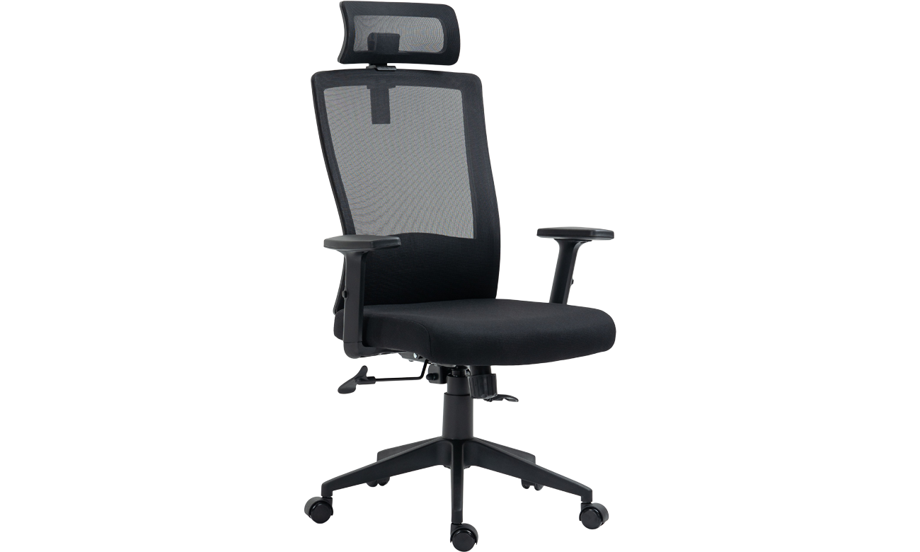 Fotel biurowy Silver Monkey SMO-700 - Widok od przodu pod kątem