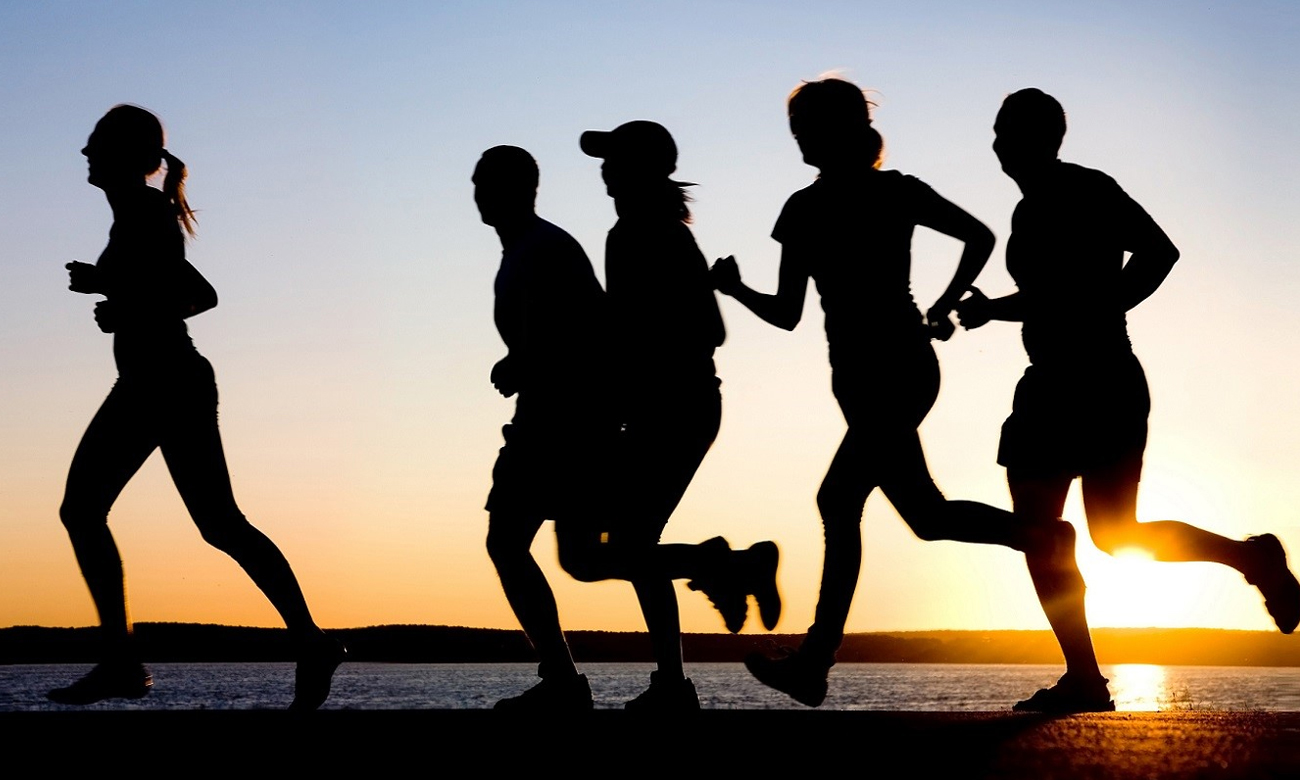 Snab Overtone EP-81M