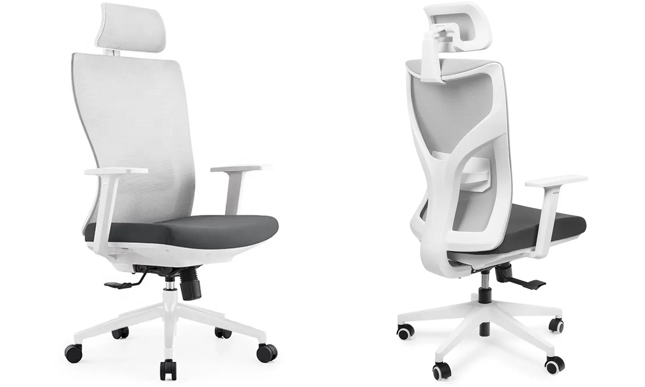 Ergonomiczny fotel biurowy Spacetronik Elsa - Widok od przodu i od tyłu pod kątem