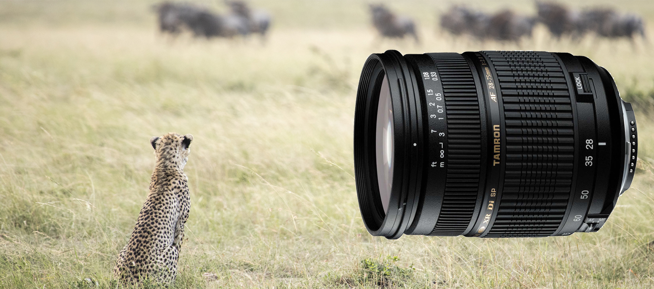 Tamron AF SP 28-75mm F2.8 Di Di XR LD Asp Silnik