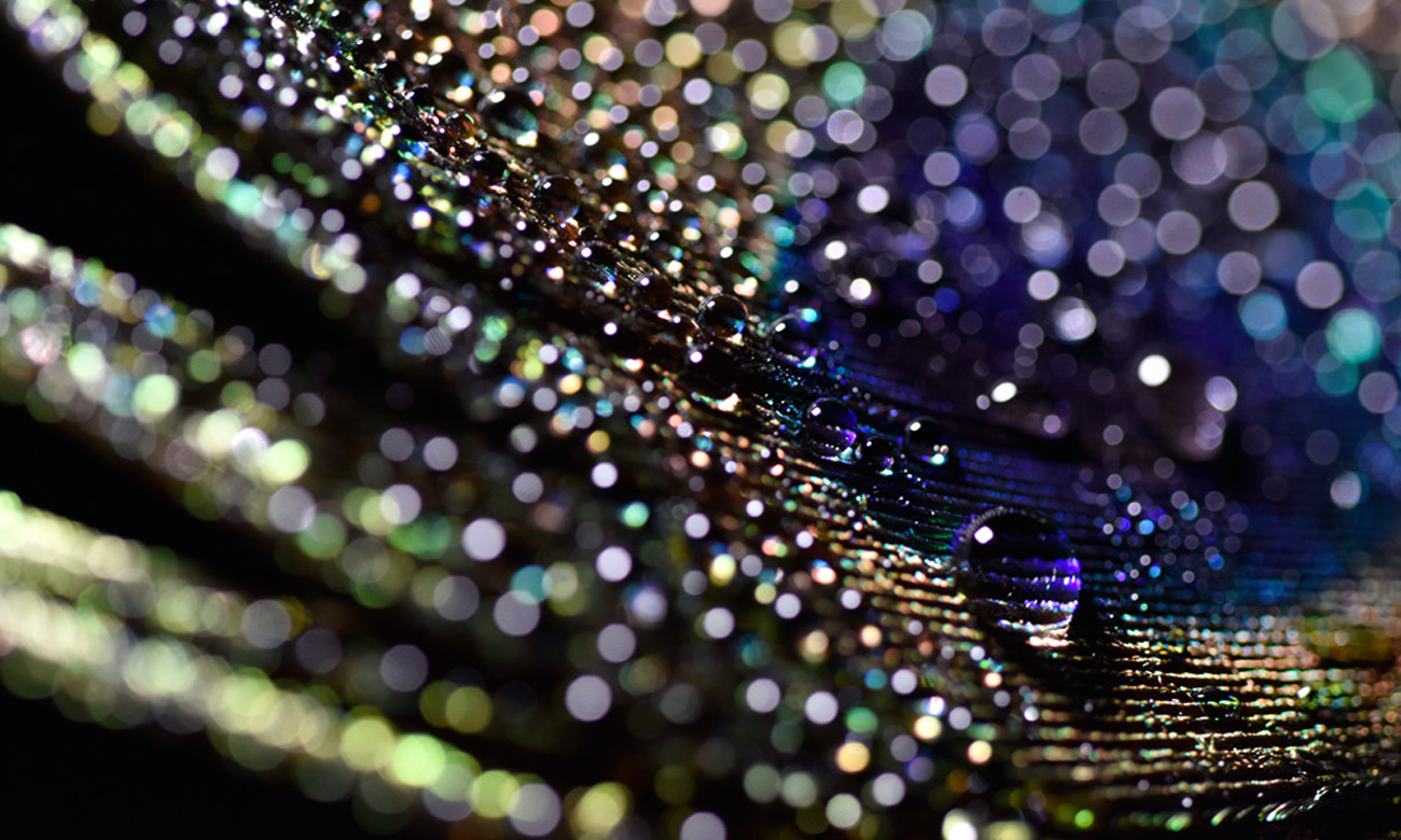 Tamron SP 90mm F2.8 Di USD Sony
