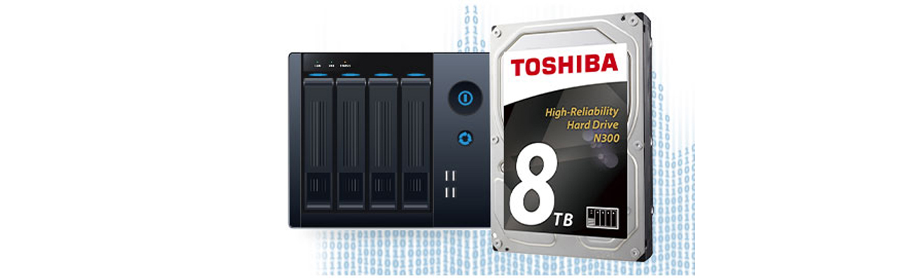 Toshiba N300