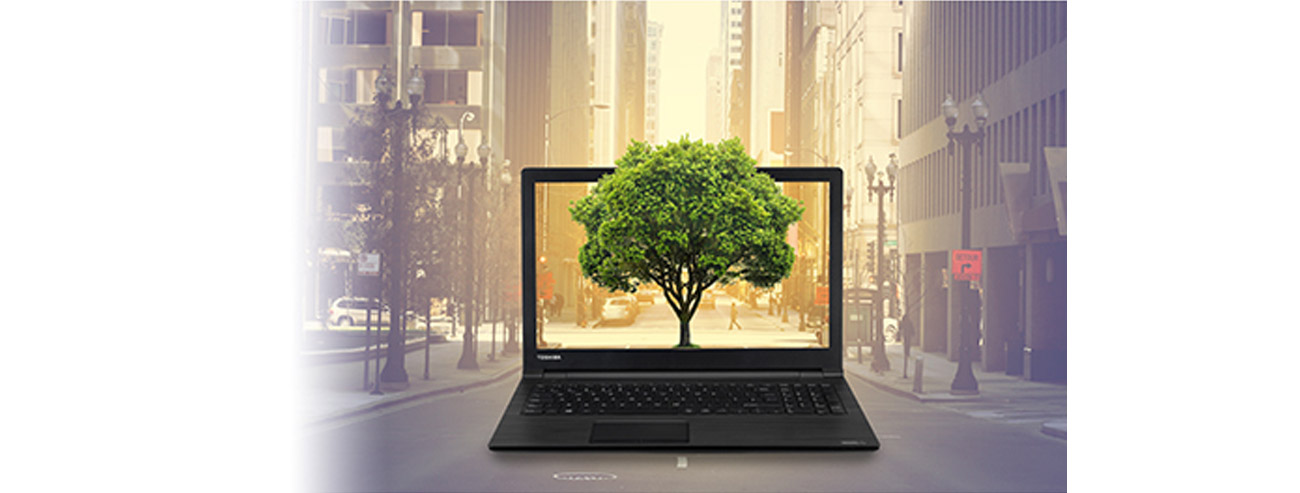 Toshiba Satellite Pro A50-C-206 Eco Utility