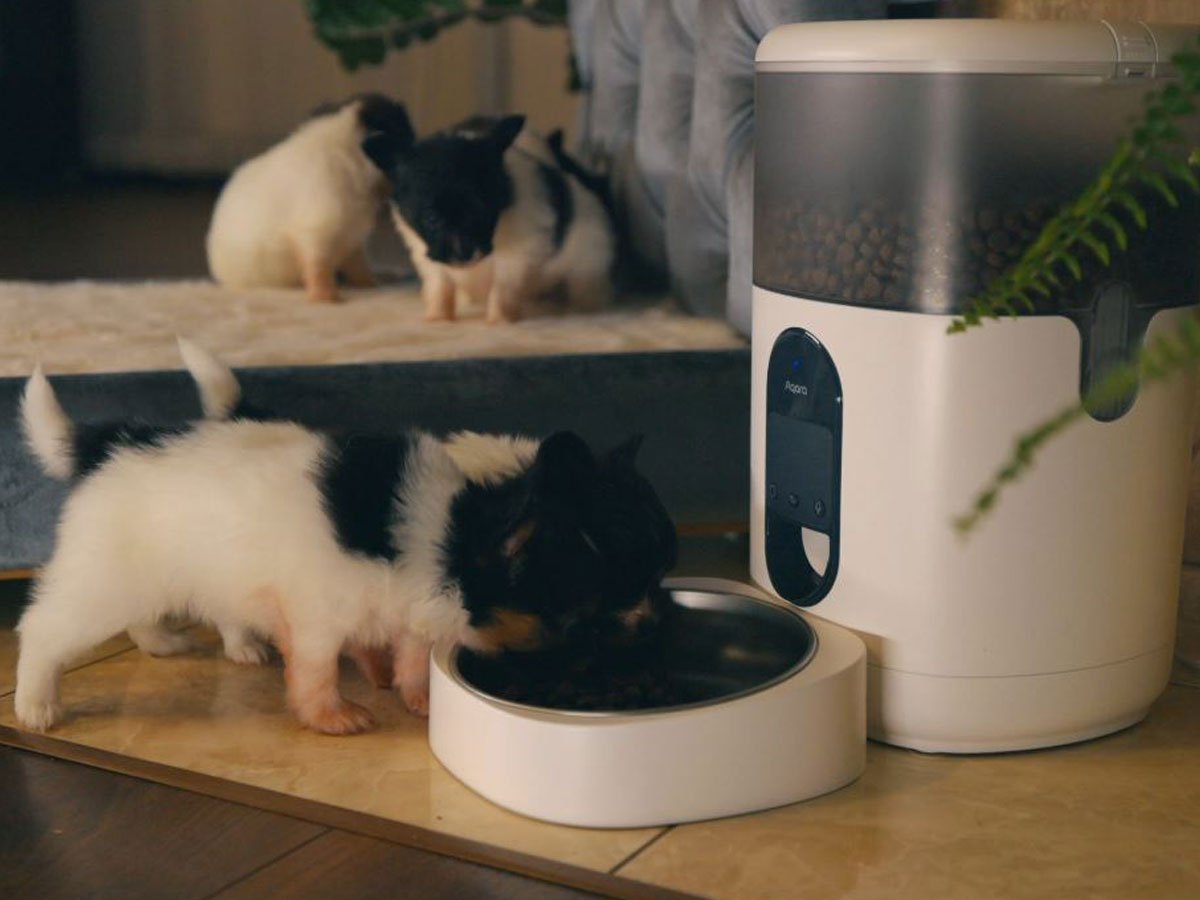 Aqara Smart Pet Feeder C1 szczeniaczki