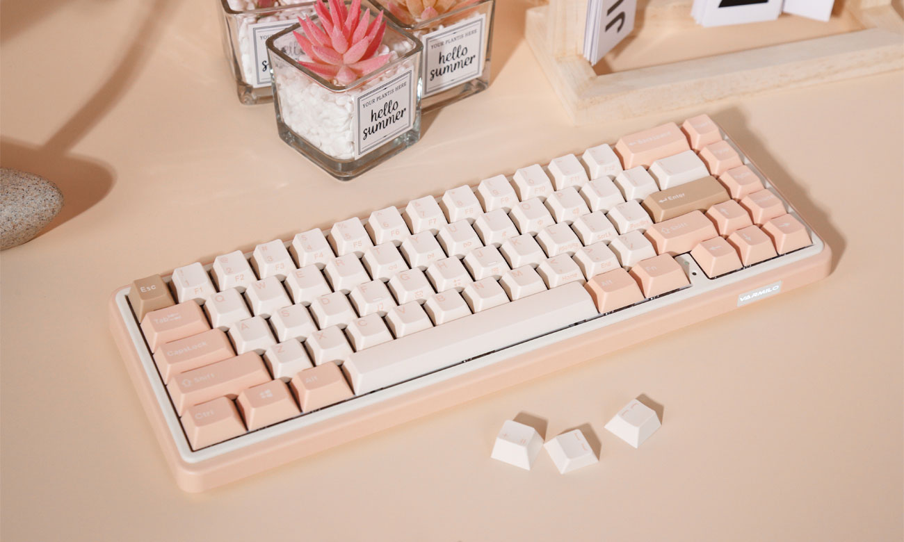 Varmilo Minilo Mendozae 67 łączność bezprzewodowa
