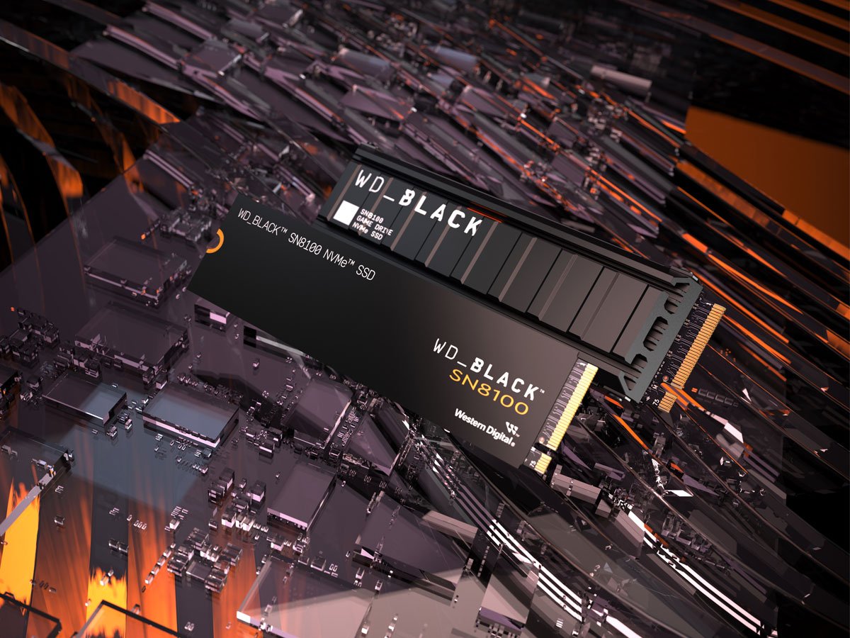 WD Black SN8100 1 TB M.2 PCIe Gen5 NVMe