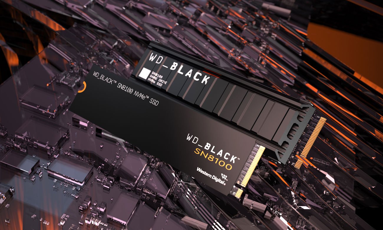 WD Black SN8100 1 TB M.2 PCIe Gen5 NVMe