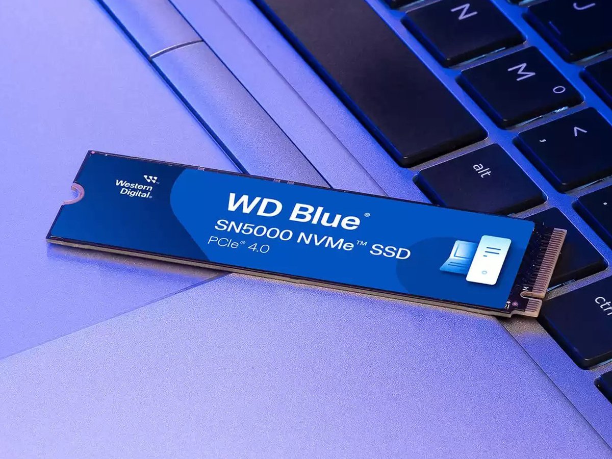 M.2 WD Blue SN5000 PCIe Gen4 NVMe SSD – Lifestyle Graphics