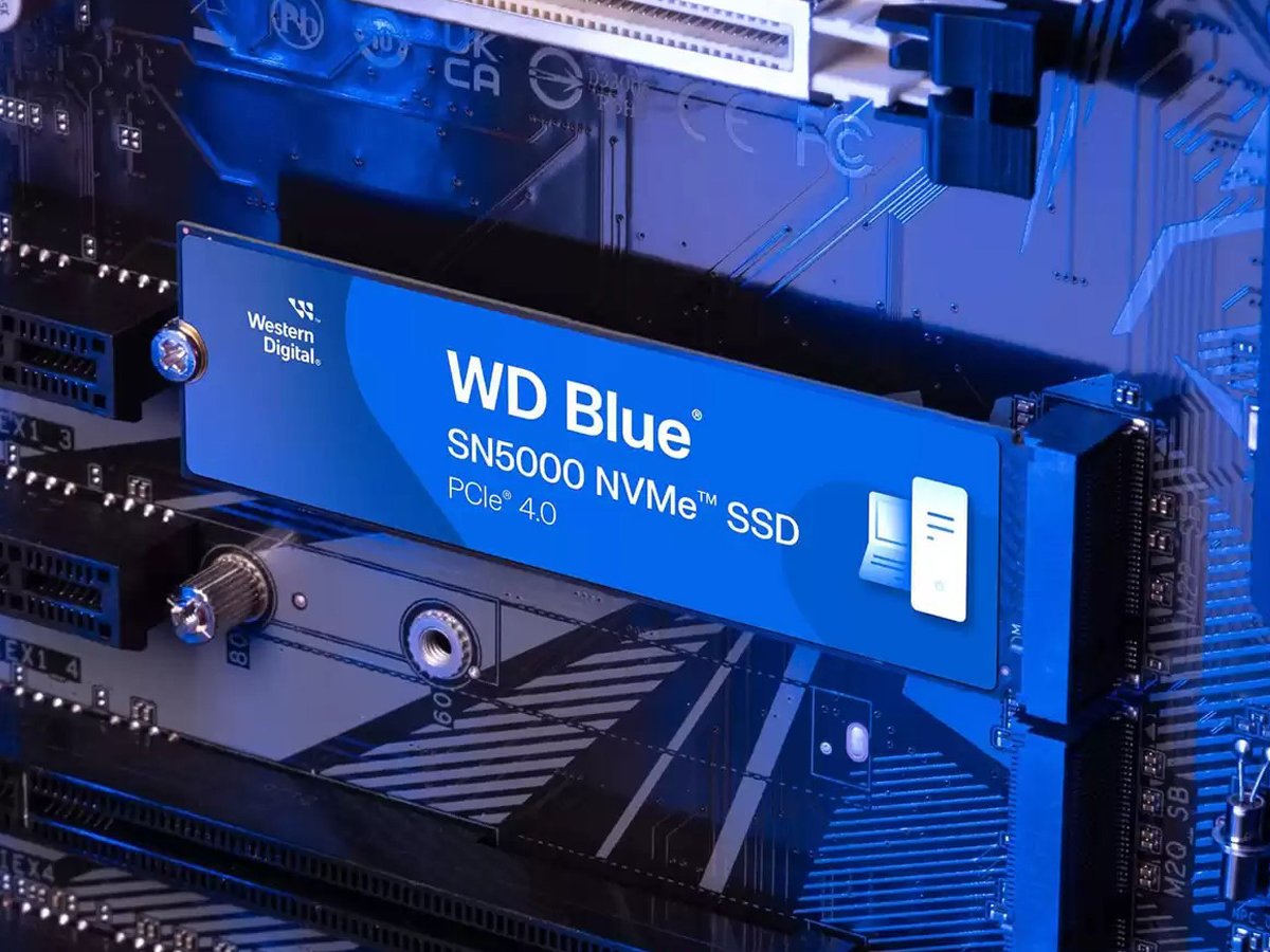 M.2 WD Blue SN5000 PCIe Gen4 NVMe SSD – Lifestyle Graphics