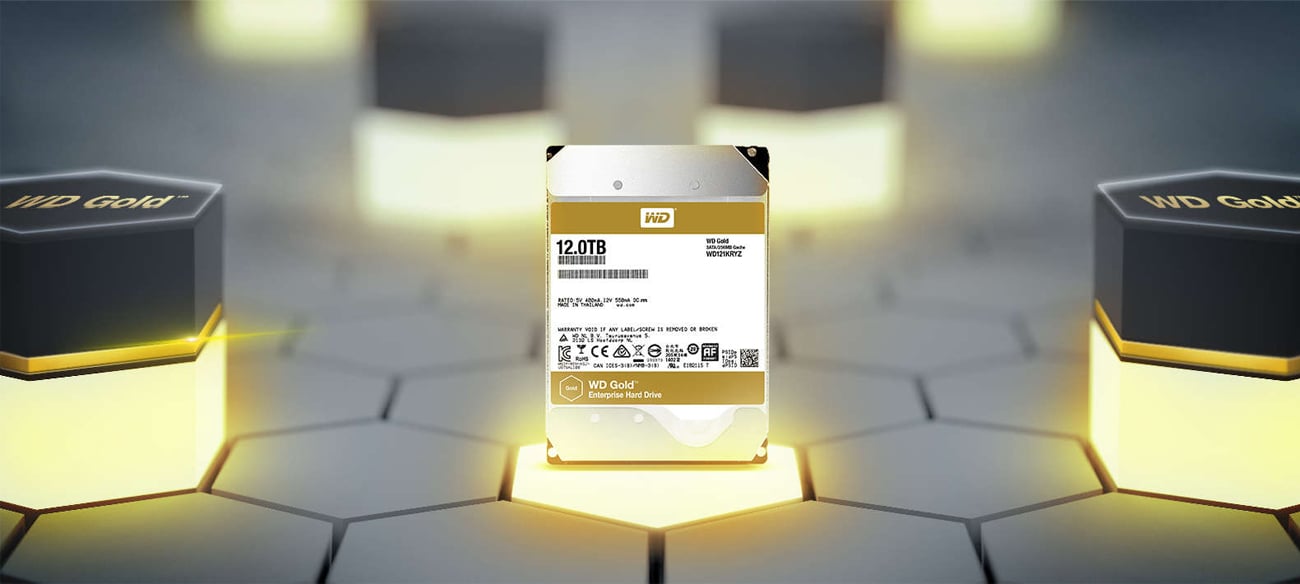 WD 12TB 7200 U/min 256MB GOLD