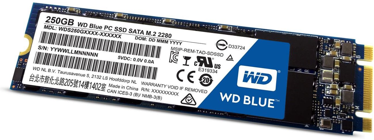 WDS250G1B0B