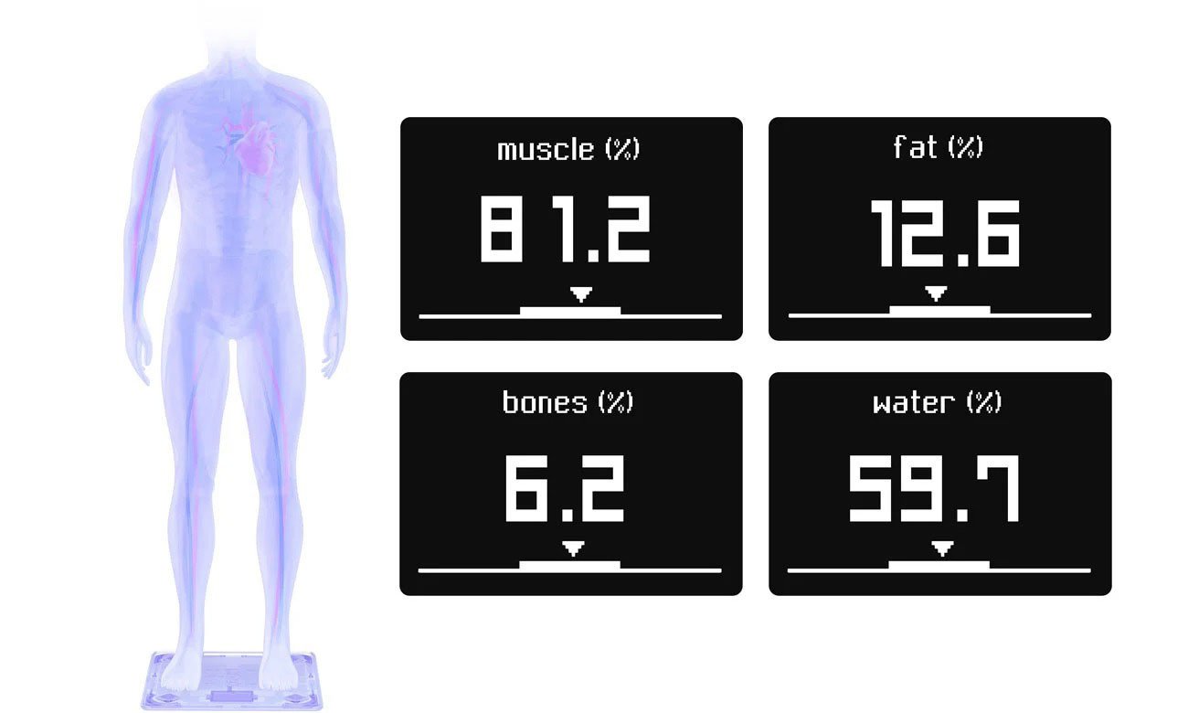 Withings Body+ - Analiza składu ciała