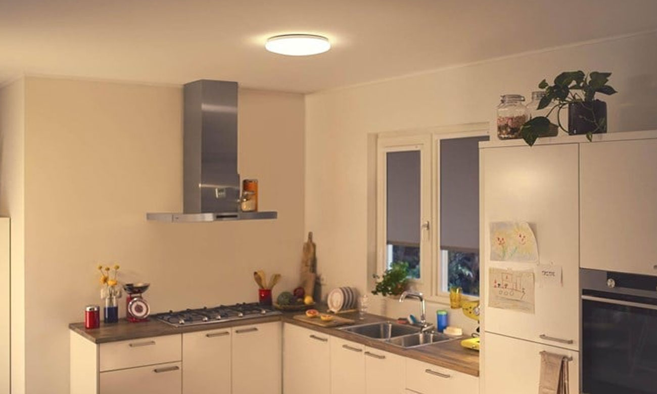 Inteligentna lampa WiZ Adria Ceiling 17W RD 4000K Dim