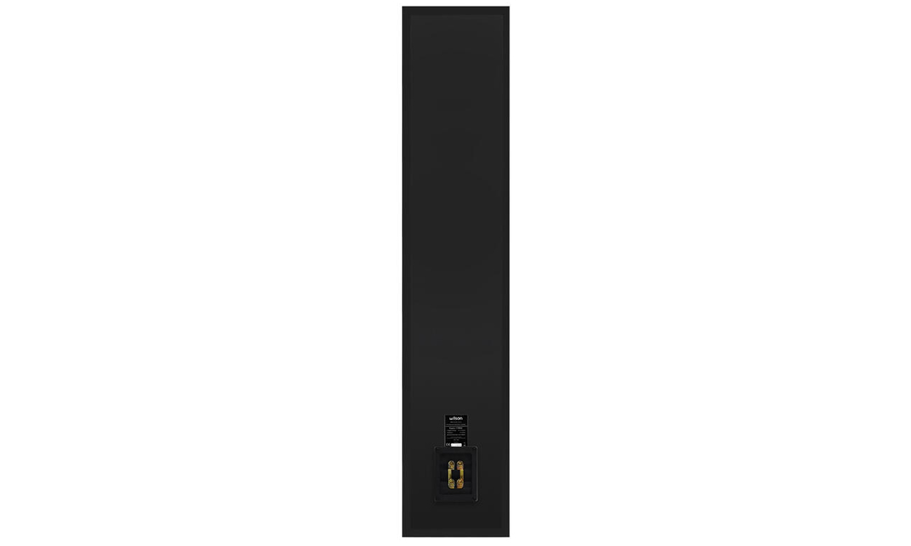 Kolumna Wilson RAPTOR 9 MAX czarna